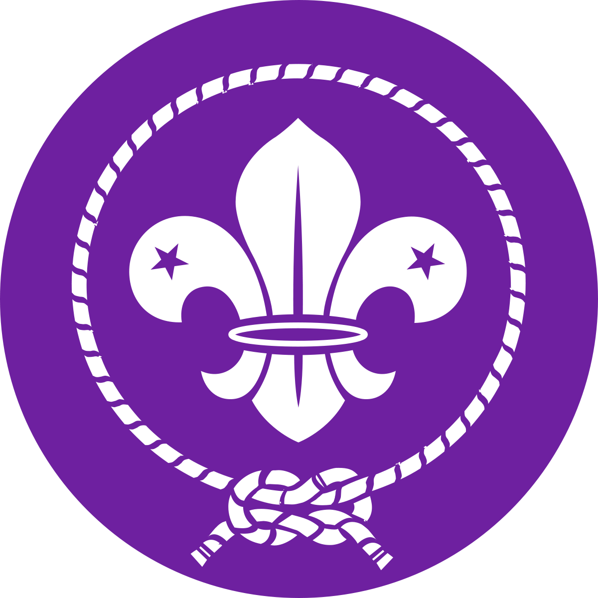 Scouts Logo